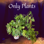Only Plants