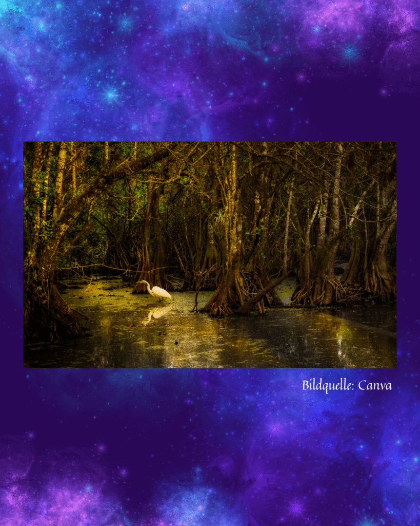 Bild eines mystisch anmutenden Mangrovenwaldes mit Reiher im Wasser, im Hintergrund eine lila Galaxy