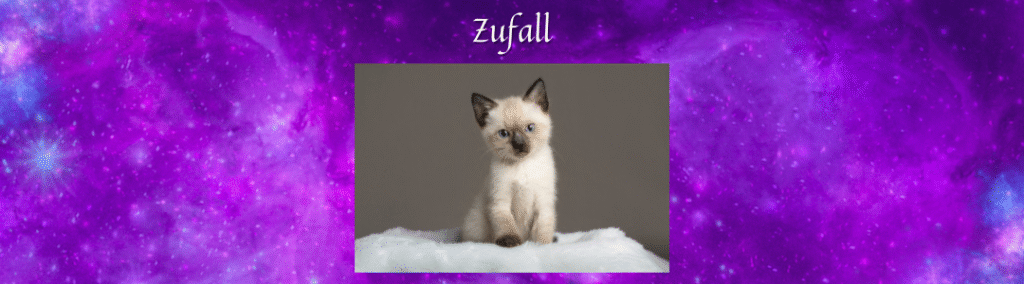 Überschrift "Zufall" über einem Bild von einer kleinen weißen Katze mit braunen Ohren, Schnäuzchen und Pfoten, vor einem lila Galaxyhintergrund